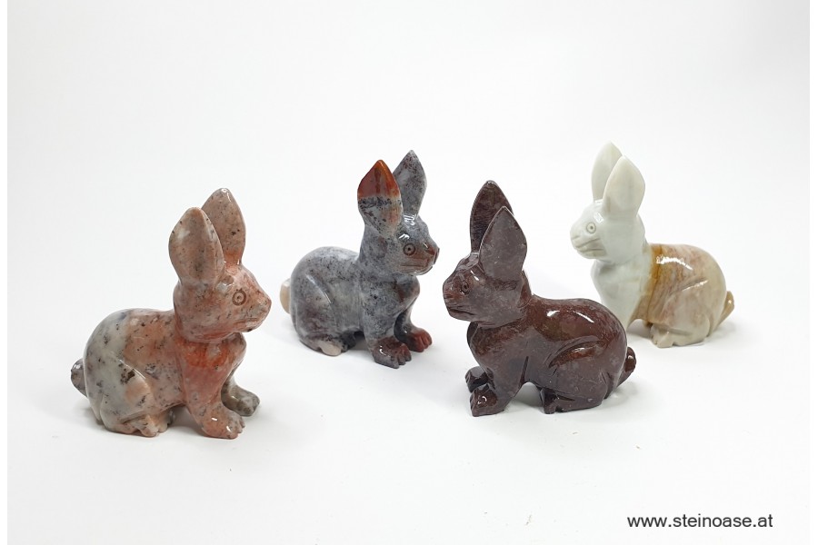 Hase Speckstein Gr.S